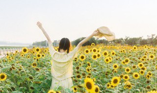 热天旅游注意带东西 热天旅游注意带哪些东西