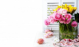 卧室室内适合养什么花草 卧室室内适合养的花草