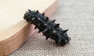 怎样挑选海参 如何挑选海参