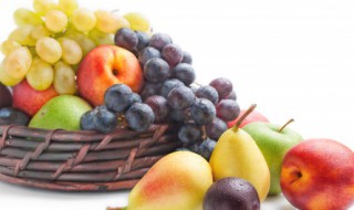 赖葡萄什么时间种植 赖葡萄什么时候种