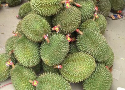 榴莲几月开花几月结果 从开花到结果要多长时间