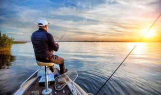 怎样判断钓鱼口味 如何快速判断适用的饵料味型