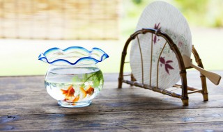 鱼缸多久清洗一次呢 瓦盆鱼缸多久清洗一次