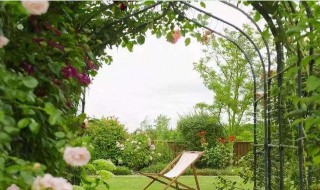 室外庭院遮阳植物有哪些 室外庭院遮阳植物推荐