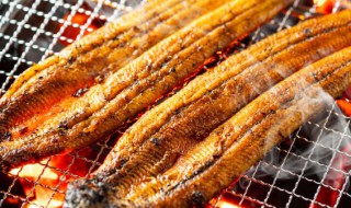 龙利鱼的成分 龙利鱼营养成分