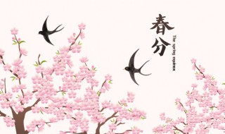 春分可以去亲戚家吗 春分介绍