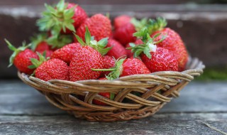 冬天室内怎么养草莓好 冬天室内如何养草莓好