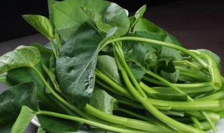 叶菜暂时不吃该如何保存 叶菜暂时不吃该怎样保存