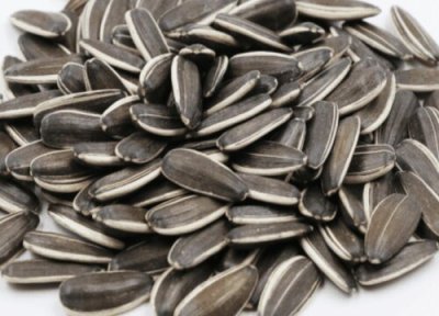 葵花籽产地 葵花籽什么时候成熟