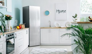 家里客厅适合摆放大绿植吗 客厅能不能摆植物