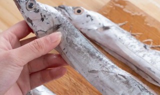 如何挑选新鲜带鱼 怎么挑选新鲜带鱼