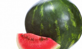 楼上室内适合种西瓜吗 室内可以种西瓜吗