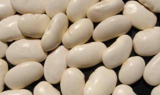 吃大白豆的禁忌 大白豆的食用禁忌介绍