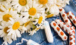 洋甘菊适合种室内吗 洋甘菊适合放在家里吗