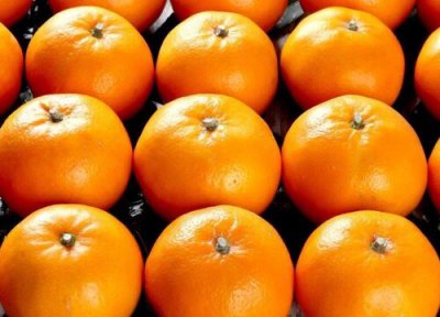 沃柑是热带水果吗 沃柑属于热带水果吗