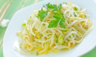 在家豆芽的种植方法 在家豆芽怎么种植