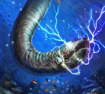 亚马逊电鳗有天敌吗 会放电的电鳗专治鳄鱼