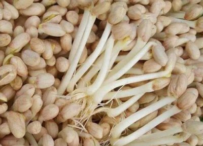 花生豆发芽了可以吃吗 花生豆芽发芽了还可以吃吗?