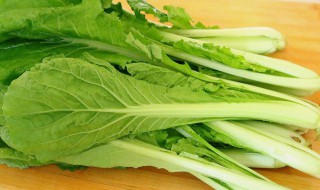 常吃小白菜有什么好处 常吃小白菜有哪些益处呢
