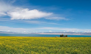 青海有哪些旅游景点 青海旅游景点介绍