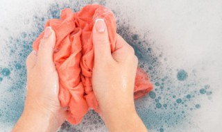 发霉斑用什么能洗掉 发霉斑用啥能洗掉