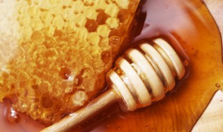 蜂蜜虾可以同时吃吗 蜂蜜和虾能同时食用吗