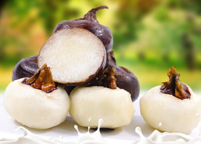 马蹄生长地方 马蹄生长在什么地方