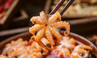 新鲜章鱼怎么炒好吃又简单 新鲜章鱼如何炒好吃又简单