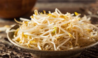 家庭种植豆芽简单方法 豆芽如何种植