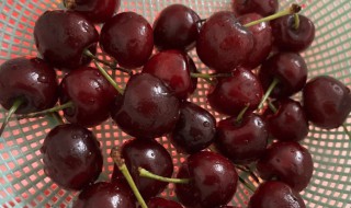 车厘子怎么看级别 车厘子如何看级别呢