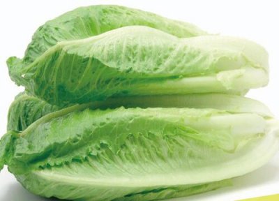 生菜是单子叶还是双子叶植物 生菜是植物的哪个部分