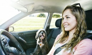 汽车汽瓶什么材料 汽车汽瓶哪种材料