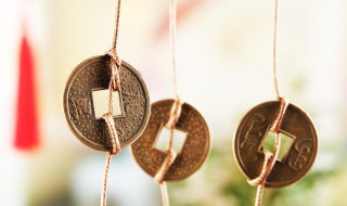 属牛在2023年运势 2023年属牛人运势怎么样