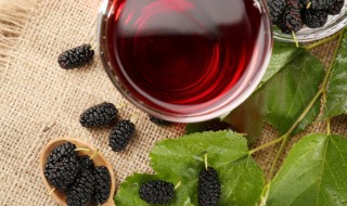 桑葚干可以直接吃吗 桑葚干适合直接食用吗