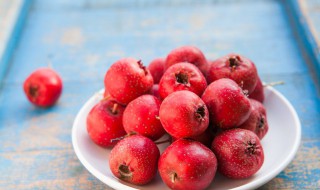 山楂种子怎么发芽 山楂种子如何发芽