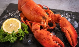 刚死的大龙虾怎么保鲜 刚死的大龙虾的保鲜方法有哪些