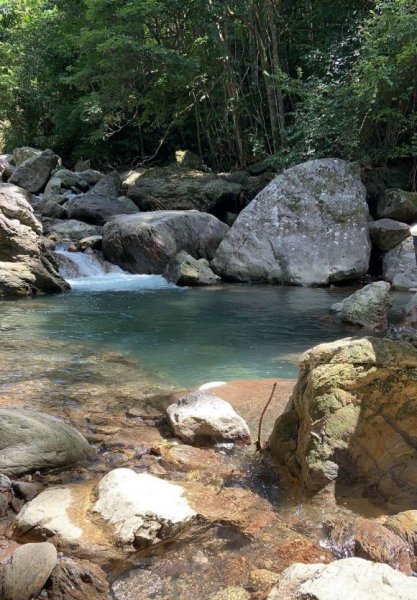 多鳞白甲鱼是什么鱼