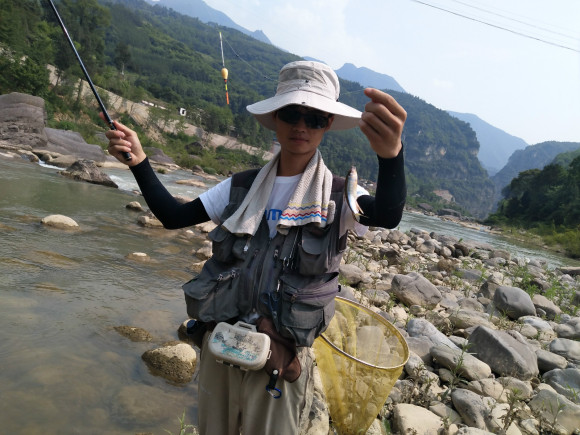 多鳞白甲鱼是什么鱼