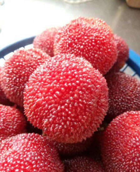 杨梅怎么清洗才能洗得干净