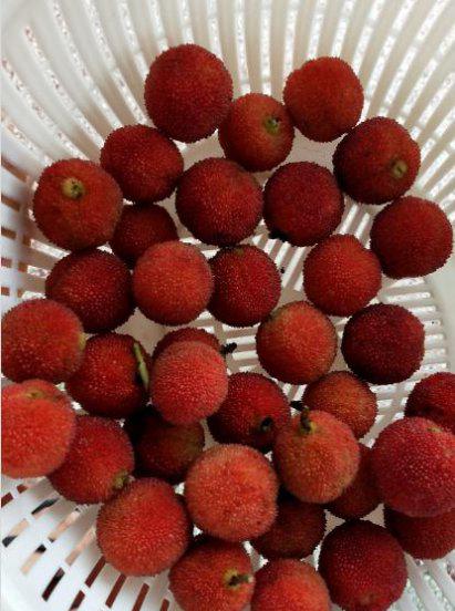 杨梅怎么清洗才能洗得干净