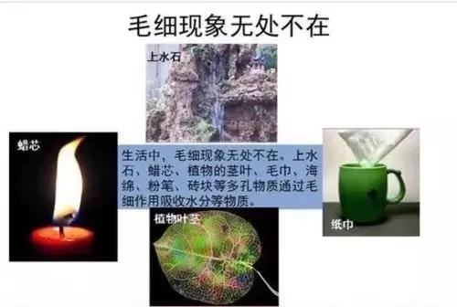 民间立筷子是什么原理