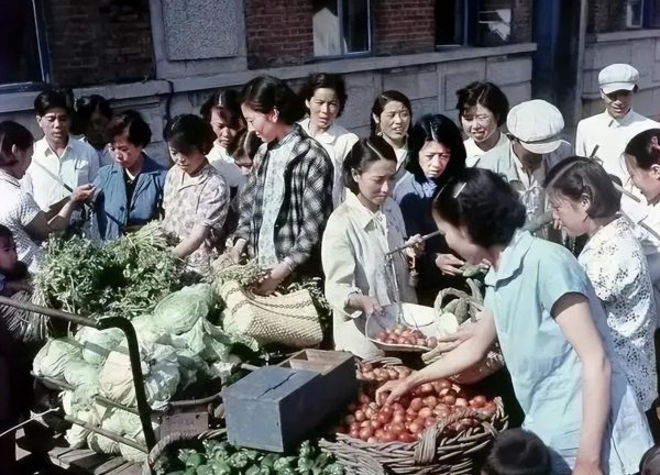 沈阳有哪些区县
