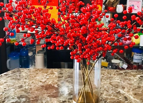 相思豆可以放卧室吗