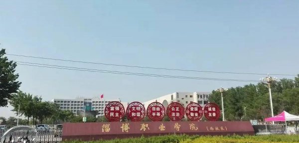 专科比较好的学校