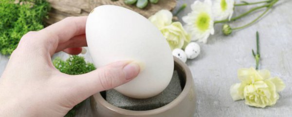 孕妇后期吃鹅蛋有什么好处