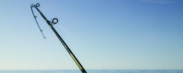 钓鱼技巧鲫鱼草鱼