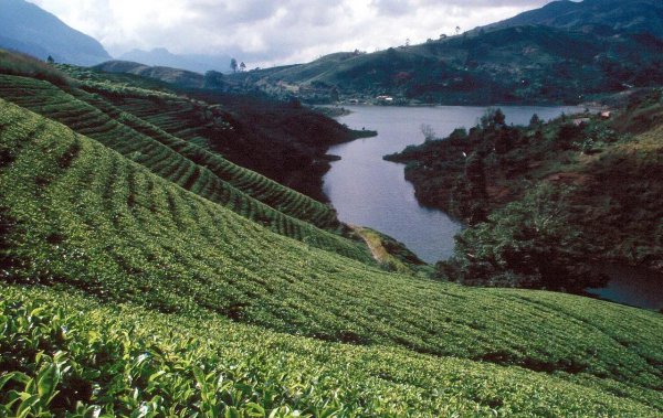 斯里兰卡在哪个洲的位置