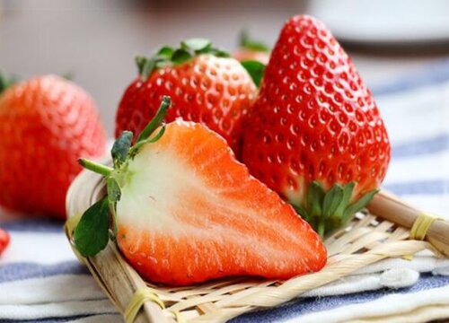 小猫可以吃草莓吗