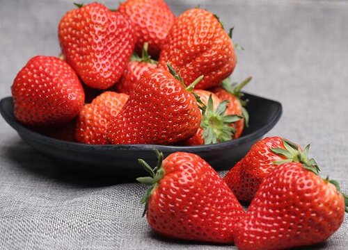 小猫可以吃草莓吗