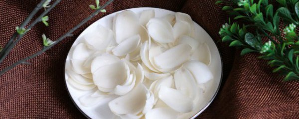 百合怎样保存时间长